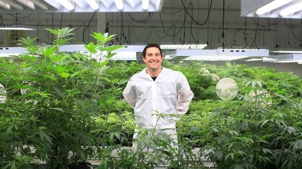 Canopy Growth restructures Canadian operations, to lay off 800 in latest cost-cutting move